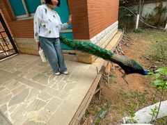 -昆明动物园