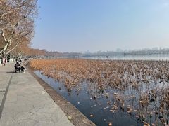 -北山街历史文化街区