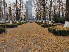 -两江幸福广场