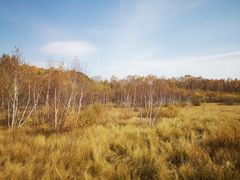 -塞罕坝国家级自然保护区