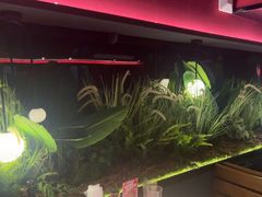 -沪小胖·小龙虾·蓝龙王(八佰伴店)