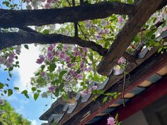 -深圳国际园林花卉博览园