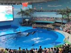 -海合安成都极地海洋公园