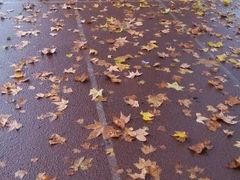 android_upload_pic-陕西师范大学(雁塔校区)