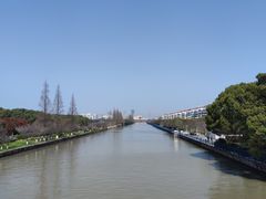 -高东镇樱花园
