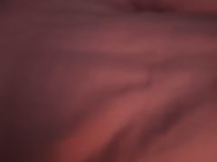 -卡吉诺动物奶油生日蛋糕(中原路店)