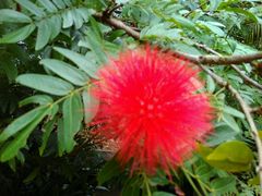 -广东茂名森林公园