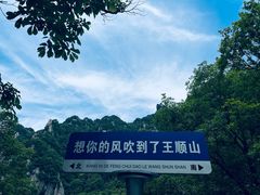 -王顺山国家森林公园