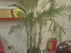 -创世纪情缘·婚恋(杭州家和店)