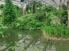 -嬉乐湾休闲旅游区