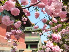 -故宫博物院(故宫)