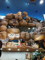 -卡通尼·Safari非洲探索乐园·生日会(金桥国际商业广场店)