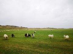 -Pakkhús Restaurant