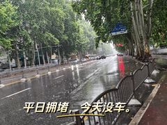 -松果酒店(农业路河南博物院店)