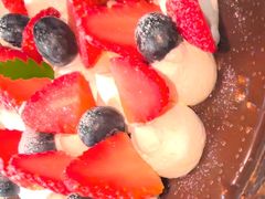 -维尔纳斯·生日蛋糕·动物奶油冰淇淋蛋糕(六里桥店)