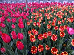 -无锡市市民中心