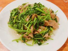 菌菇菜苗-温州一家人美食(西木头市店)