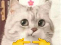 -德宝卤煮店(苹果园大街店)