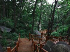 -大岭沟猕猴桃谷风景区