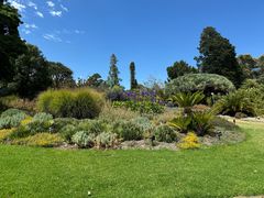 -墨尔本皇家植物园