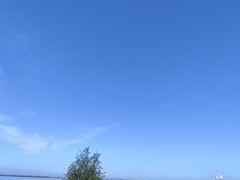 -呼兰河口湿地公园