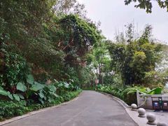 -广州市帽峰山景区