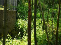 -藏龙百瀑风景区