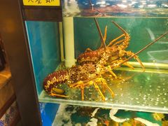 水产区-小天妃海鲜酒楼(西马庄店)