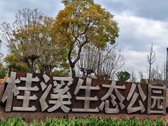 -桂溪生态公园