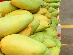 -鸿港海鲜批发市场