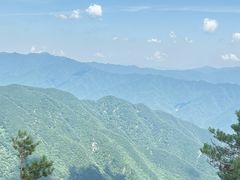 -牛背梁国家森林公园