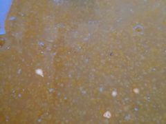 -鸿亨泰杂鱼馆(港馨家园店)