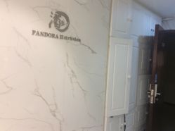 -潘多拉Hairsalon