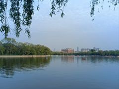 -北陵公园