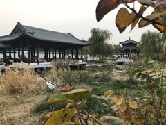 -水西公园