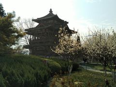 -西安青龙寺遗址景区