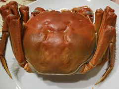 -王宝和酒家(黄浦店)