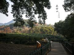 -西湖风景区十里琅珰-五云山