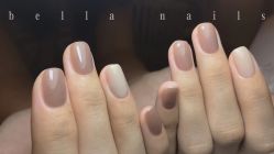 -BELLAREAL新美社