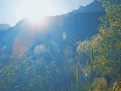 -雁南飞茶田景区
