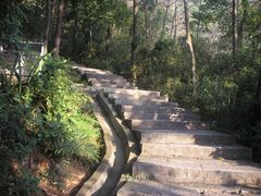 -火炉山森林公园