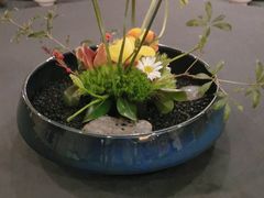 -旺顺阁海鲜广场(亚运村店)