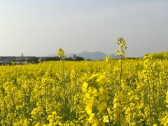 -苏州吴中太湖旅游区