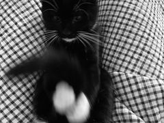 -中国工商银行(江苏省分行营业部)