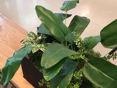 -CHAGEE霸王茶姬(西单百货店)