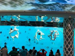 -瑞德姆美人鱼海底演艺主题餐厅(亚龙湾店)