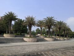 -飞来湖湿地公园
