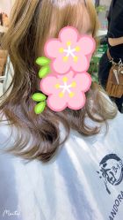-潘多拉Hairsalon