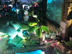 -恐龙探索乐园(磁器口店)