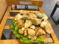 -菌海森林·非遗野生菌火锅(西山区滇池路摩根道店)
